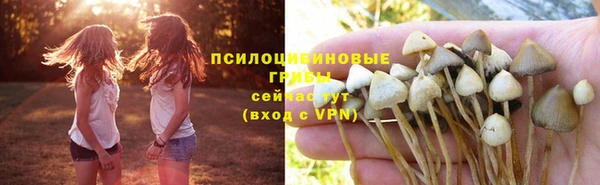 ешки Абинск