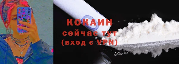 a pvp Новозыбков