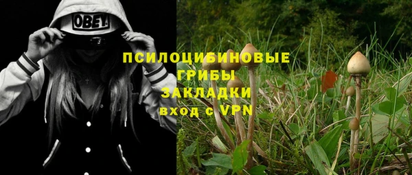 ешки Абинск