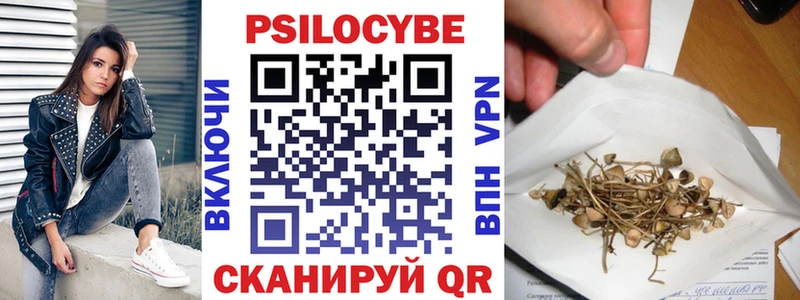 ОМГ ОМГ онион  Барыш  Галлюциногенные грибы MAGIC MUSHROOMS 